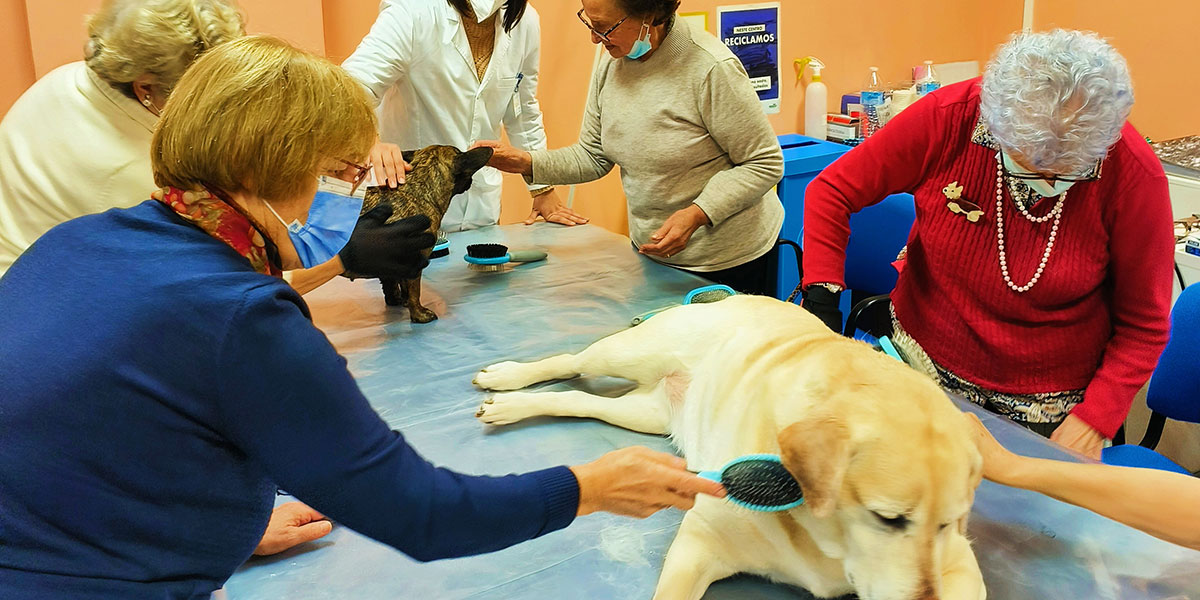 terapia asistida animales